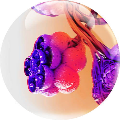 COPD Orb 1 (1) (1)